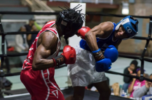 Chicago Boxers