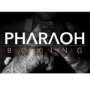 Pharoah boxing club